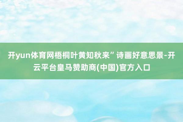 开yun体育网梧桐叶黄知秋来”诗画好意思景-开云平台皇马赞助商(中国)官方入口