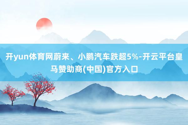 开yun体育网蔚来、小鹏汽车跌超5%-开云平台皇马赞助商(中国)官方入口