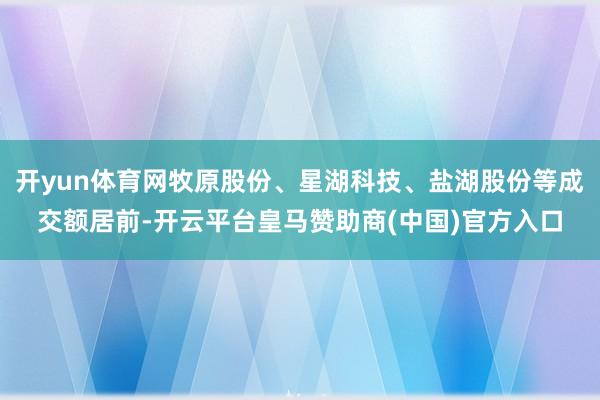 开yun体育网牧原股份、星湖科技、盐湖股份等成交额居前-开云平台皇马赞助商(中国)官方入口