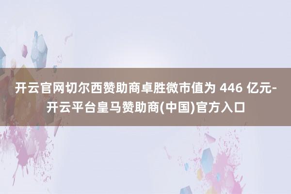 开云官网切尔西赞助商卓胜微市值为 446 亿元-开云平台皇马赞助商(中国)官方入口