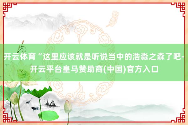开云体育“这里应该就是听说当中的浩淼之森了吧-开云平台皇马赞助商(中国)官方入口