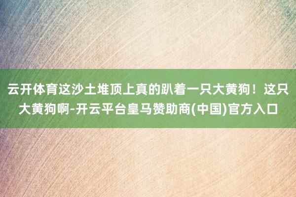 云开体育这沙土堆顶上真的趴着一只大黄狗！这只大黄狗啊-开云平台皇马赞助商(中国)官方入口
