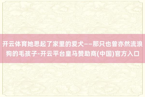 开云体育她思起了家里的爱犬——那只也曾亦然流浪狗的毛孩子-开云平台皇马赞助商(中国)官方入口